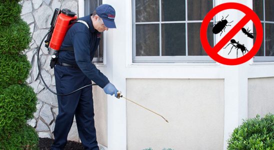 Darıca Hamam Böceği İlaçlama böcek ilaçlama ve haşere kontrolü — ilaclama-tr.com